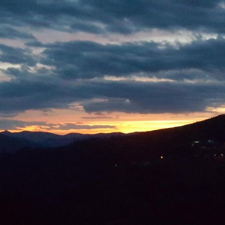 Chalet Por Do Sol Castro Daire Dış mekan fotoğraf