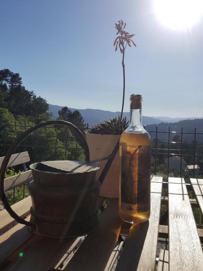 Chalet Por Do Sol Castro Daire Dış mekan fotoğraf